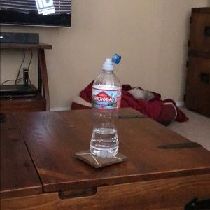 Meet your Posher, Wendy